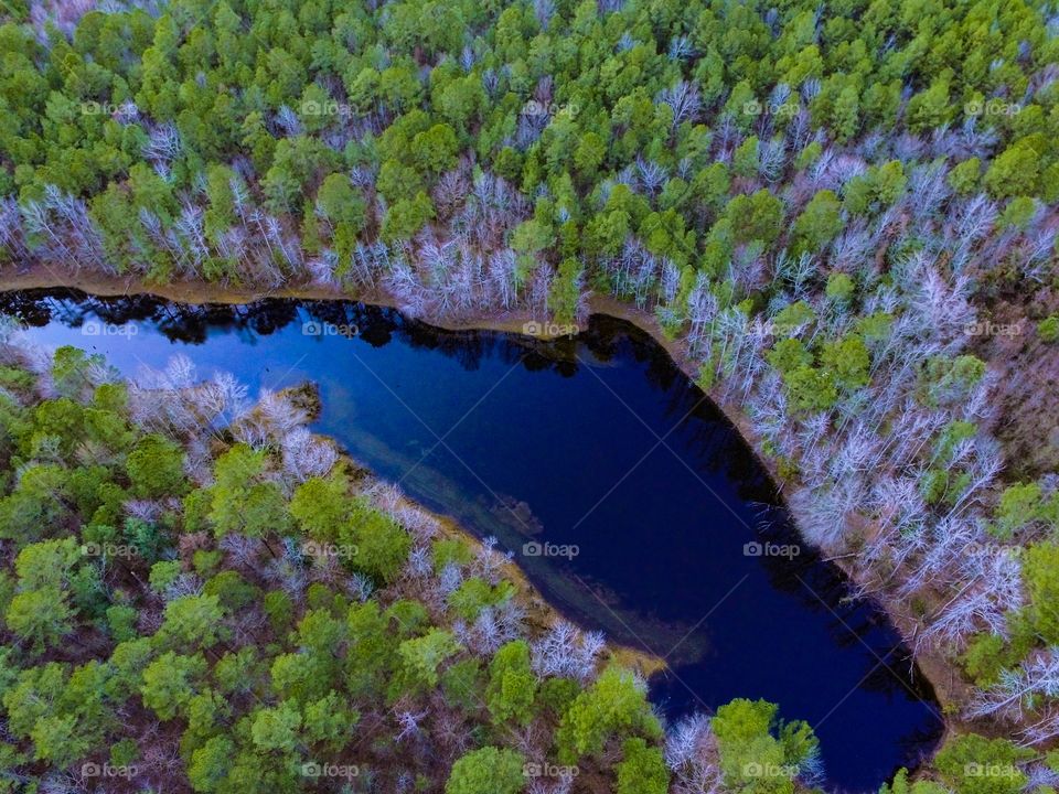 Louisiana pond