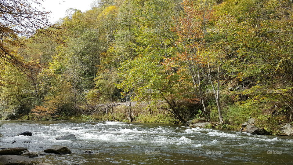 Mountain stream in fall