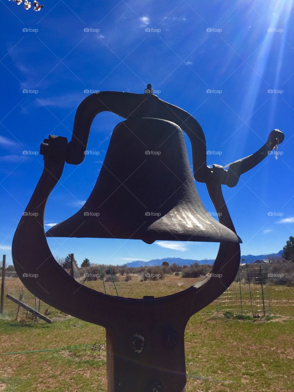 Bell in Nature