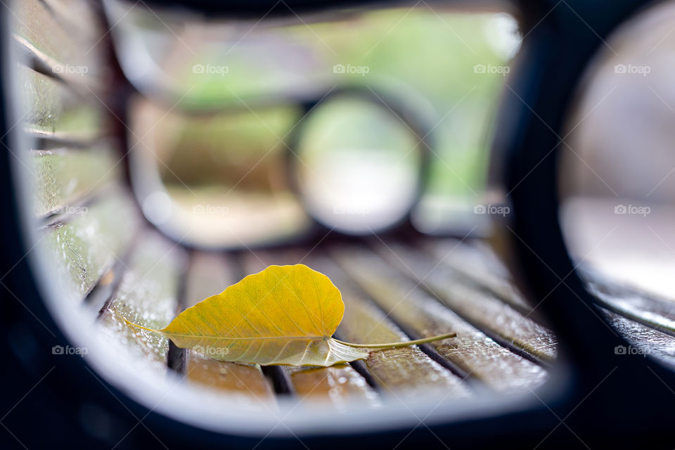 Golden leaf on a park bench. Moods of autumn.