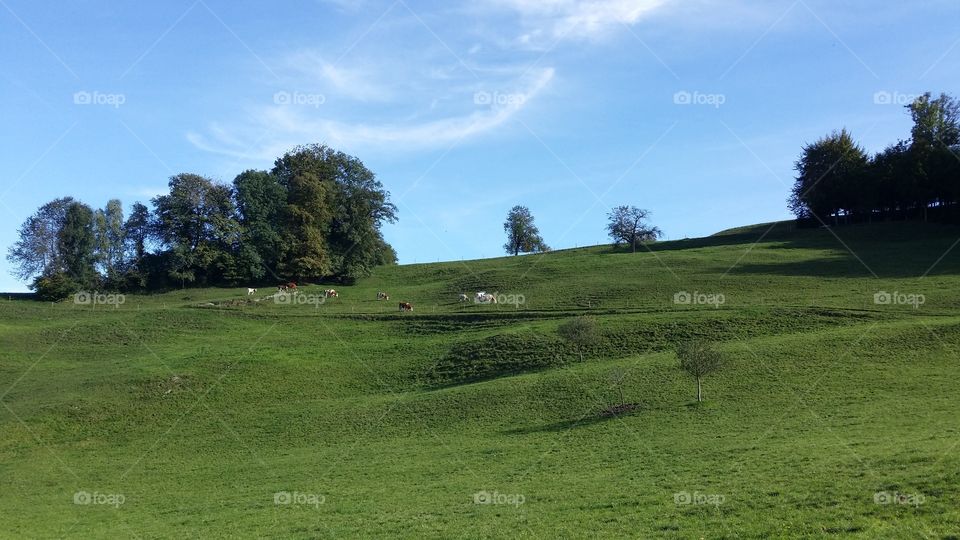 Green landscape against blue sky