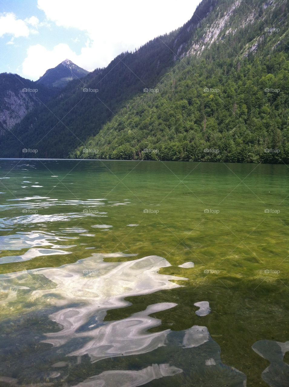 A hike through the woods to the edge of the water