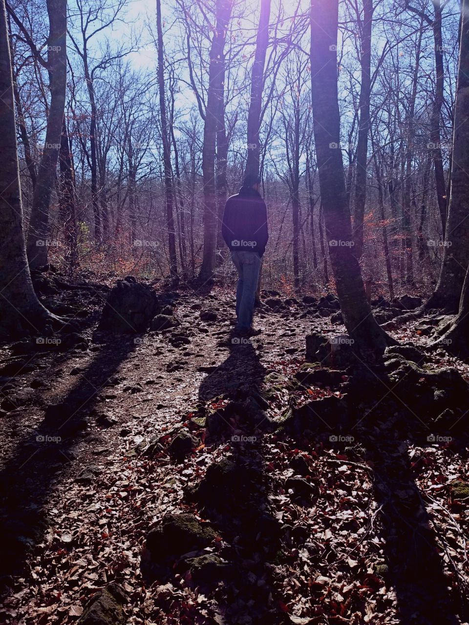 walking forest shadows