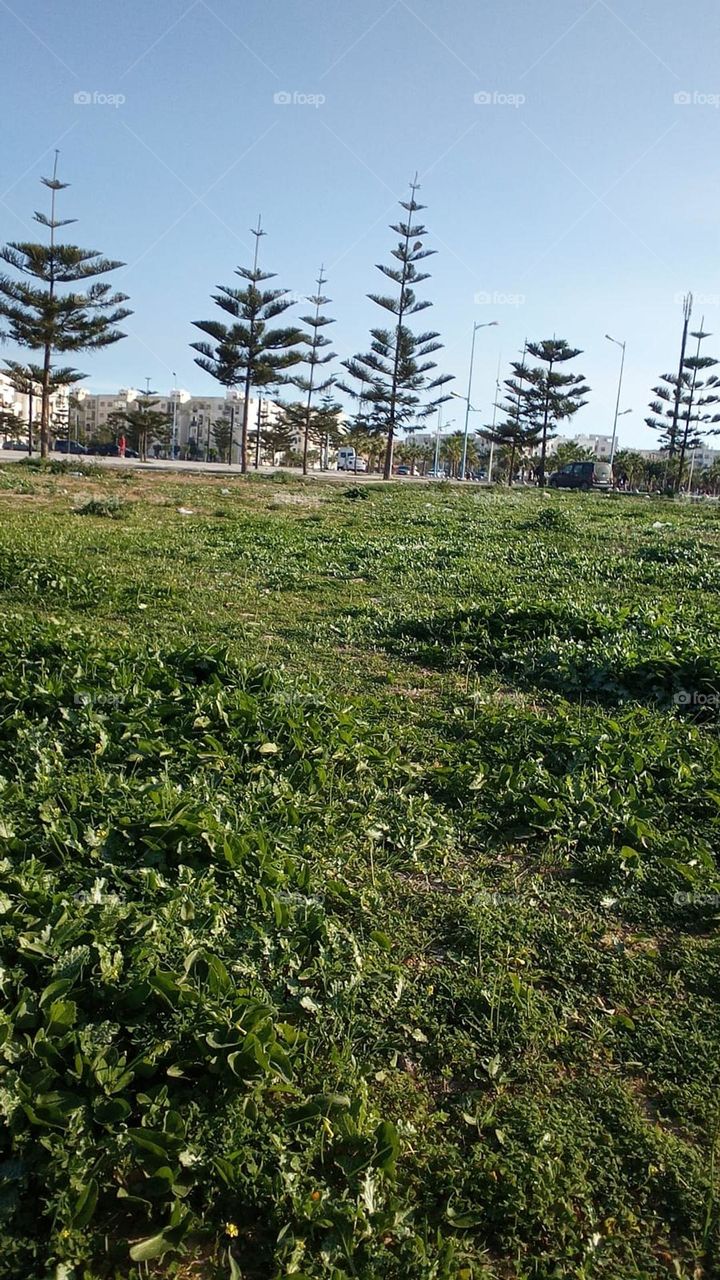 nice view and nice weather