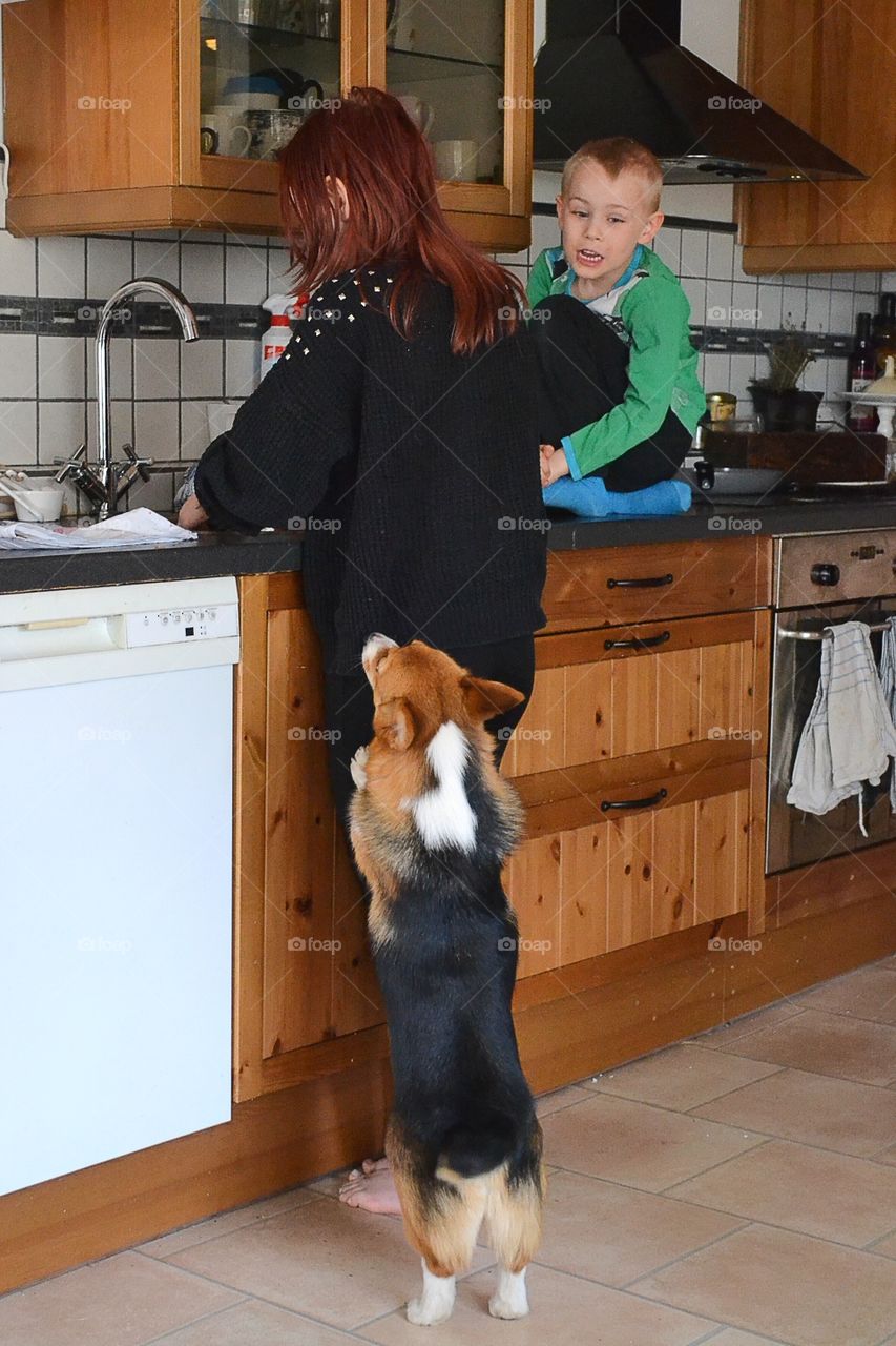 Brother and sister in the kitchen together with the family pets