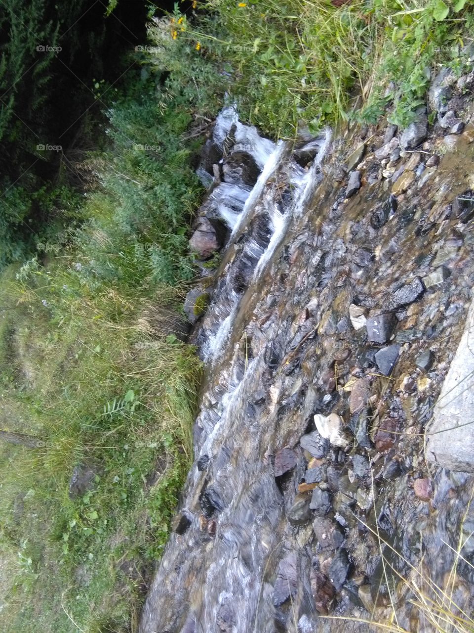 so let the river run 🍀