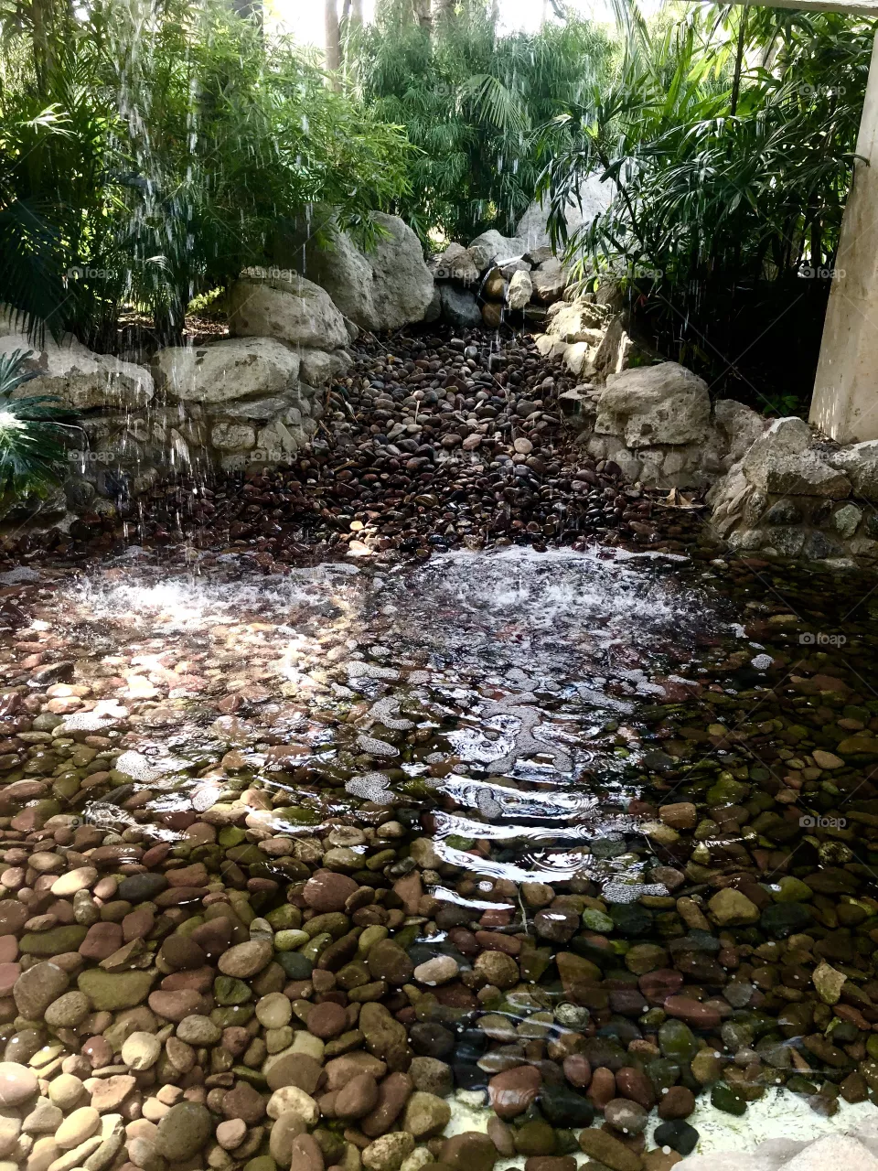 Pond