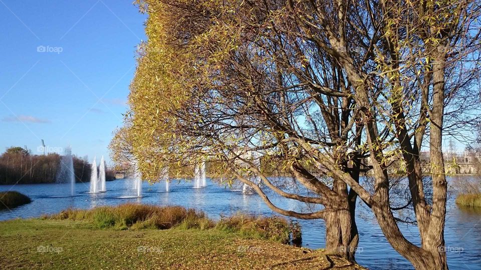 Park in bright fall colors