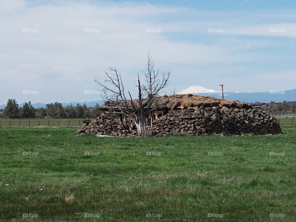 An incredible pioneering cold storage area built from rock in a farm pasture with green grasses on a sunny spring morning. 