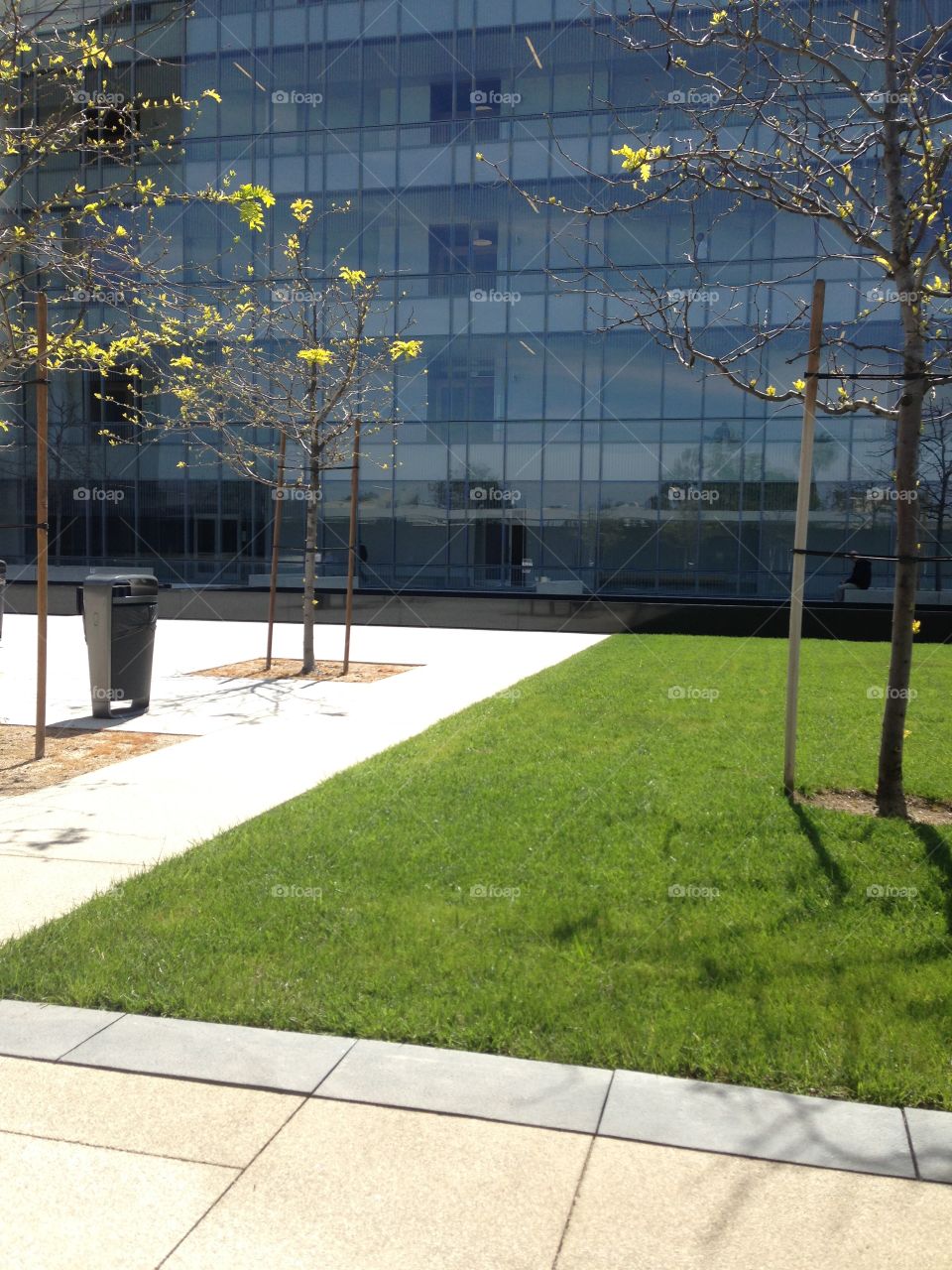 Courthouse Building Patio

Published by: HappyBrownMonkey 

