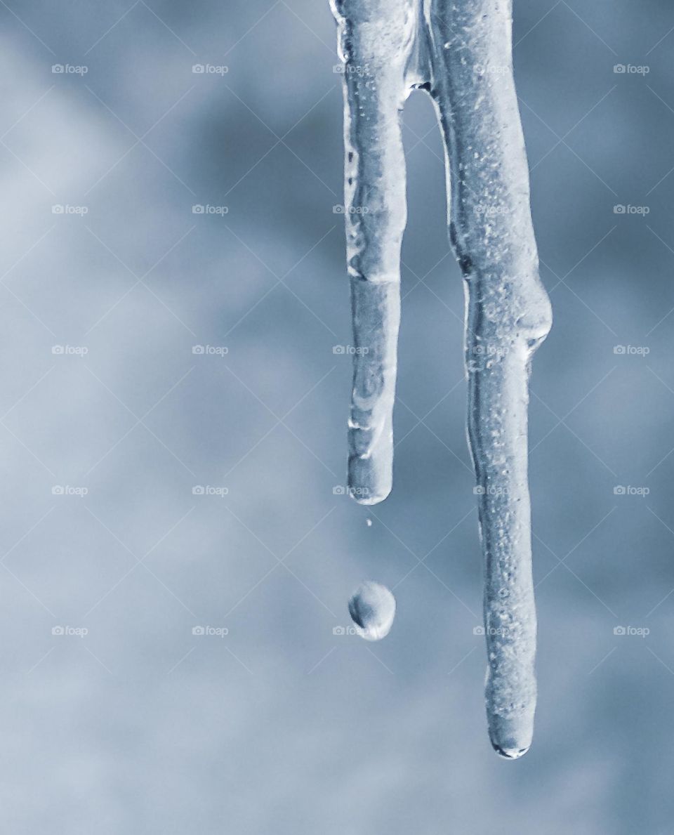 A drop of water falls from a frozen icicle