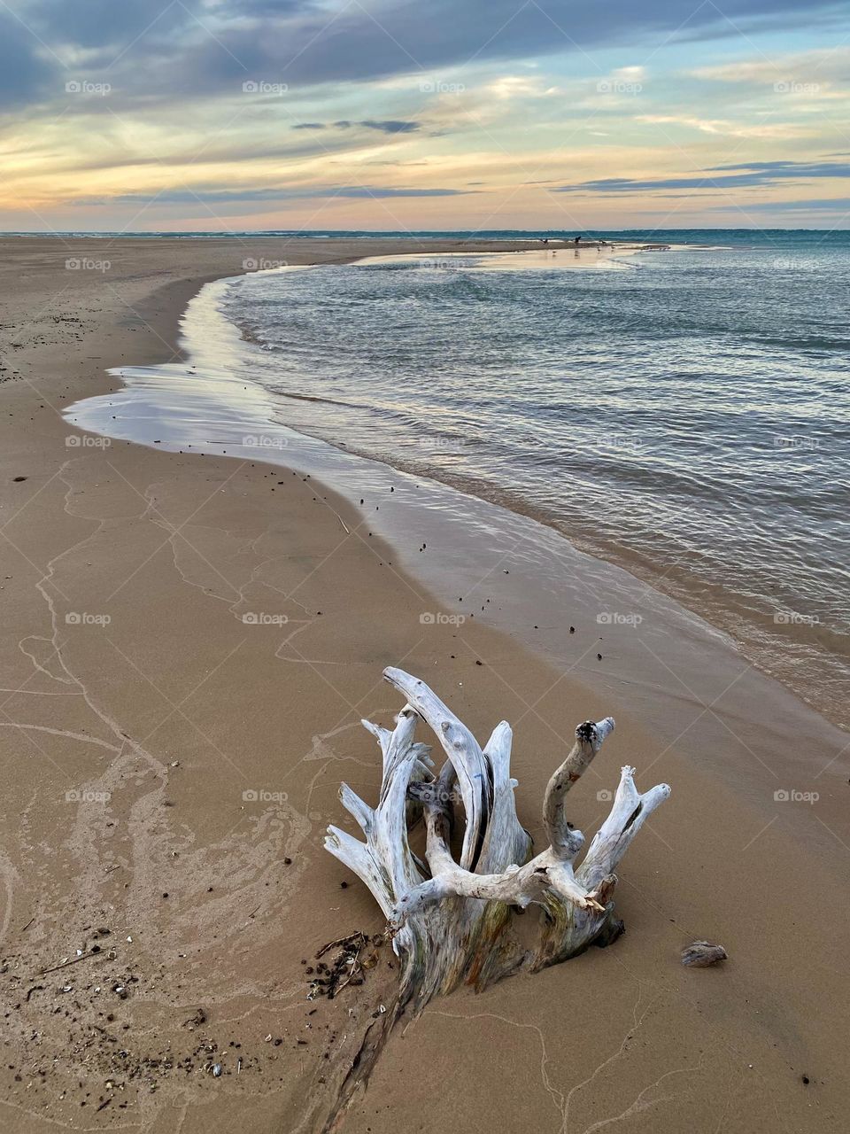 I think I’m alone now