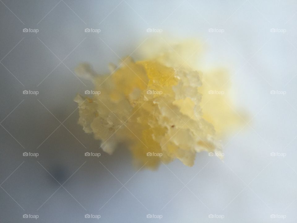 Macro cornbread crumb