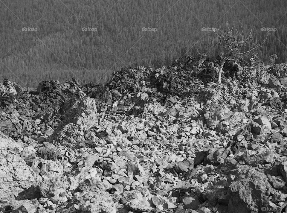 Rugged terrain of the Big Obsidian Flow 