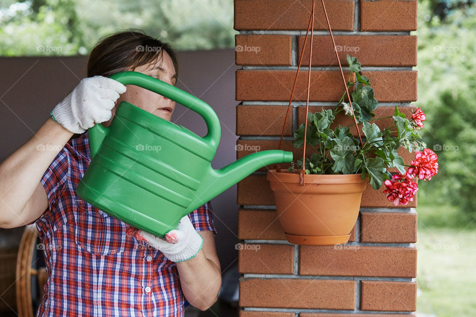 Woman watering flowers growing in flower pot, pouring water from watering pot. Candid people, real moments, authentic situations