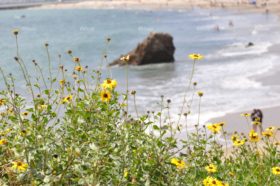 Corona del Mar beach