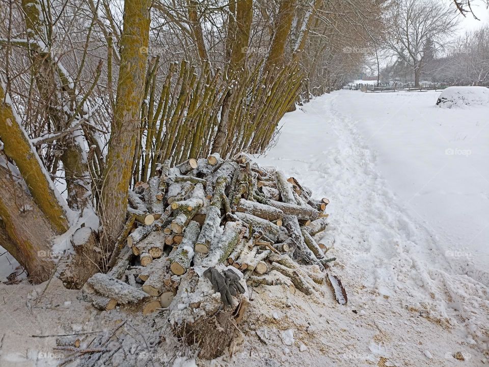 Firewood swept by snow