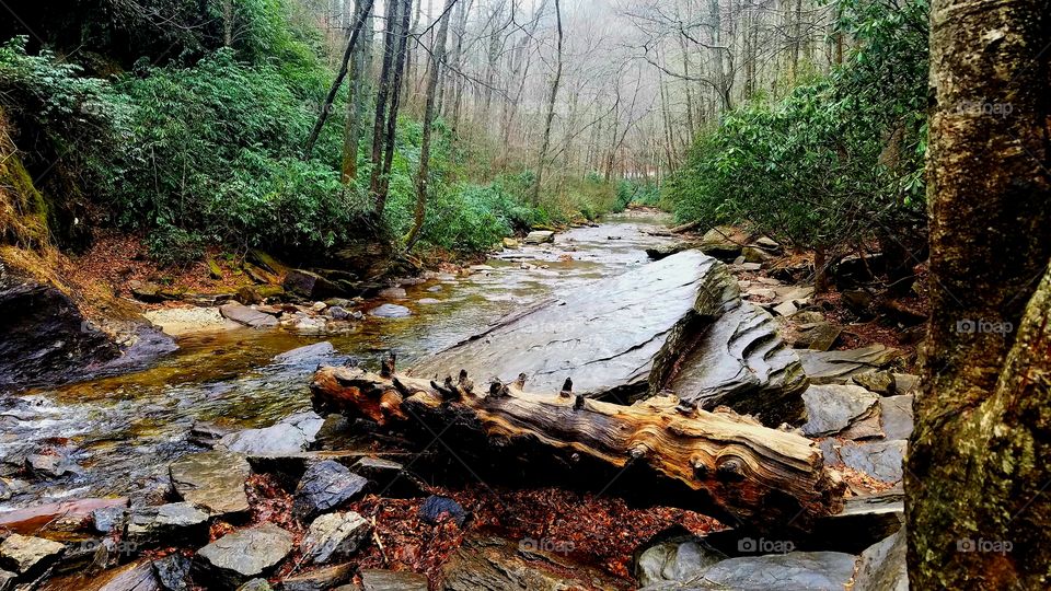 Nature view of a mountain stream at the mouth of the river