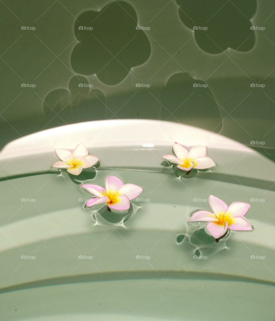 frangipani flowers reflection in water tank