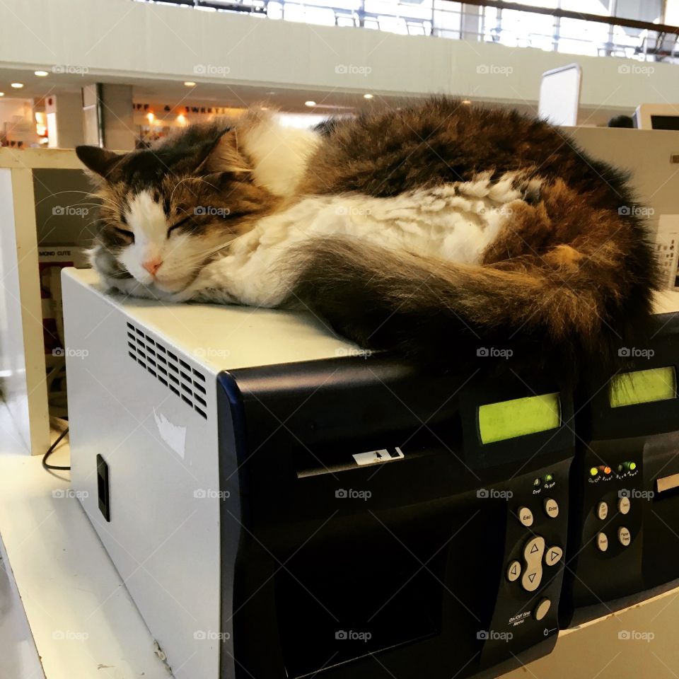 Believe it or not, this was at the Rhodes airport, Greece 😸. Well, for its defense,  the printers were slow; thus the waiting.. 😹😹😹. #no_emptiness❤️
