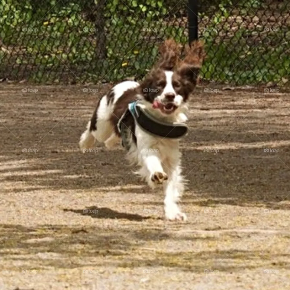 Flaps up! Ready for takeoff!