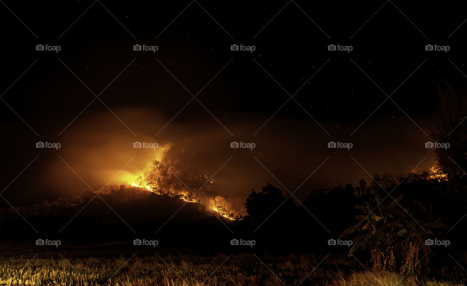 The fire was burning trees on the mountain at night with all stars in the sky.