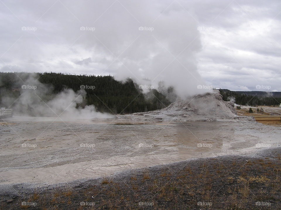 Geyser