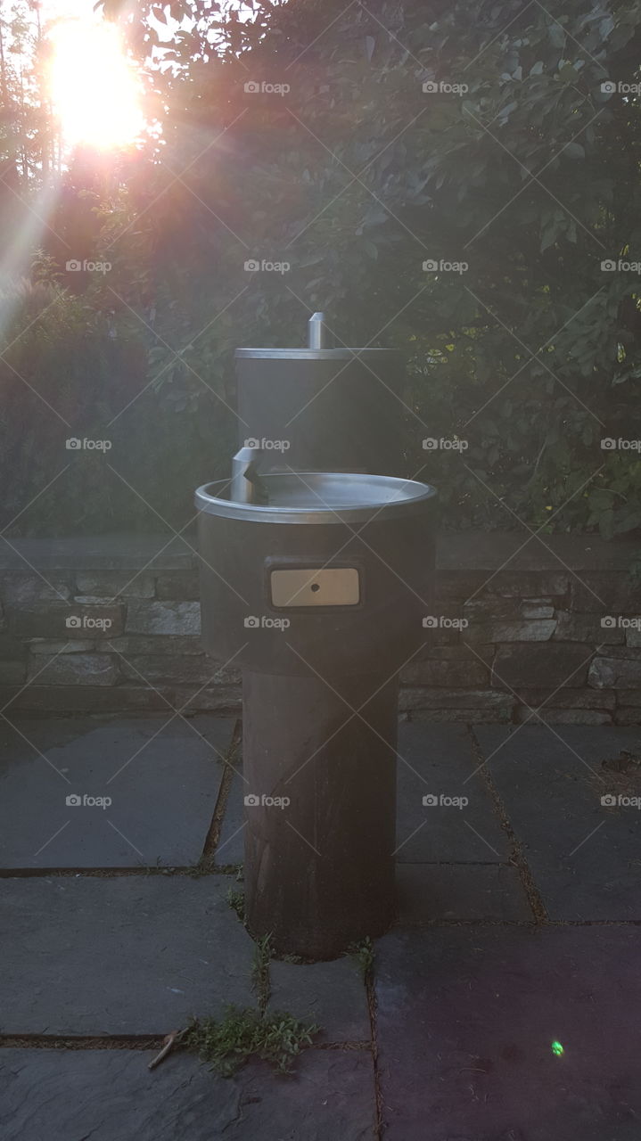 Water Fountain