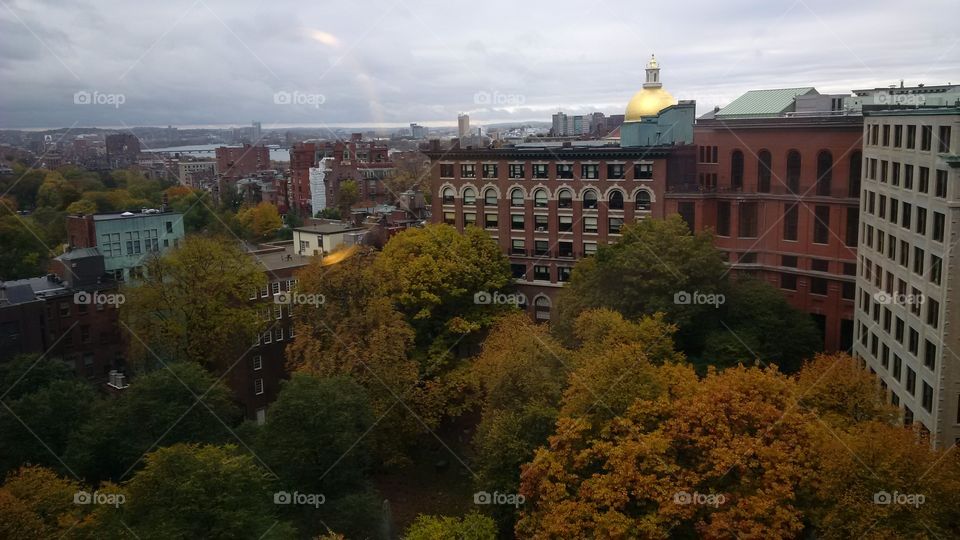 View of Boston 