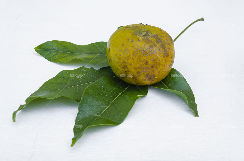 Ripe White Sapote and Leaves