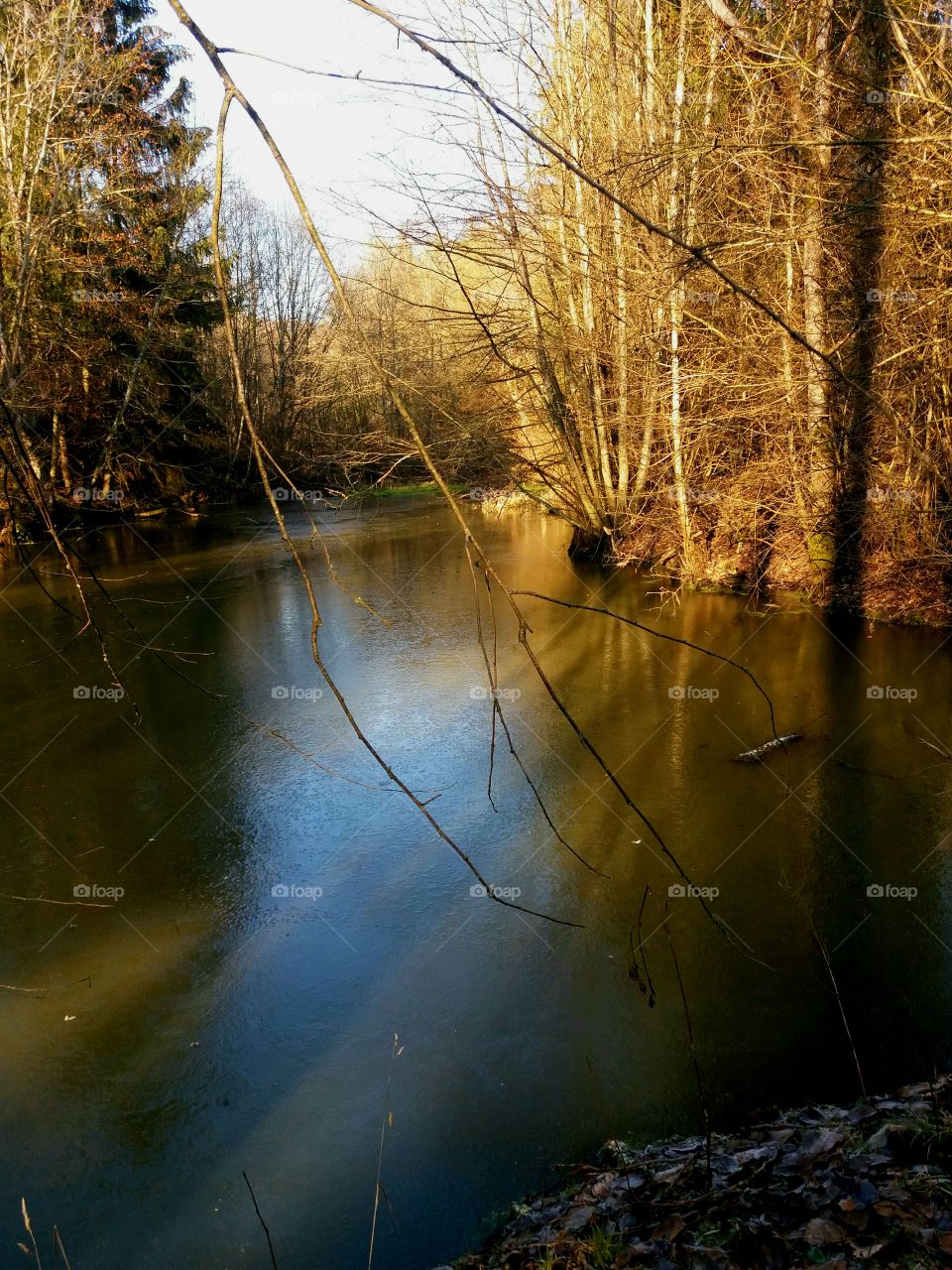 winter frozen pond