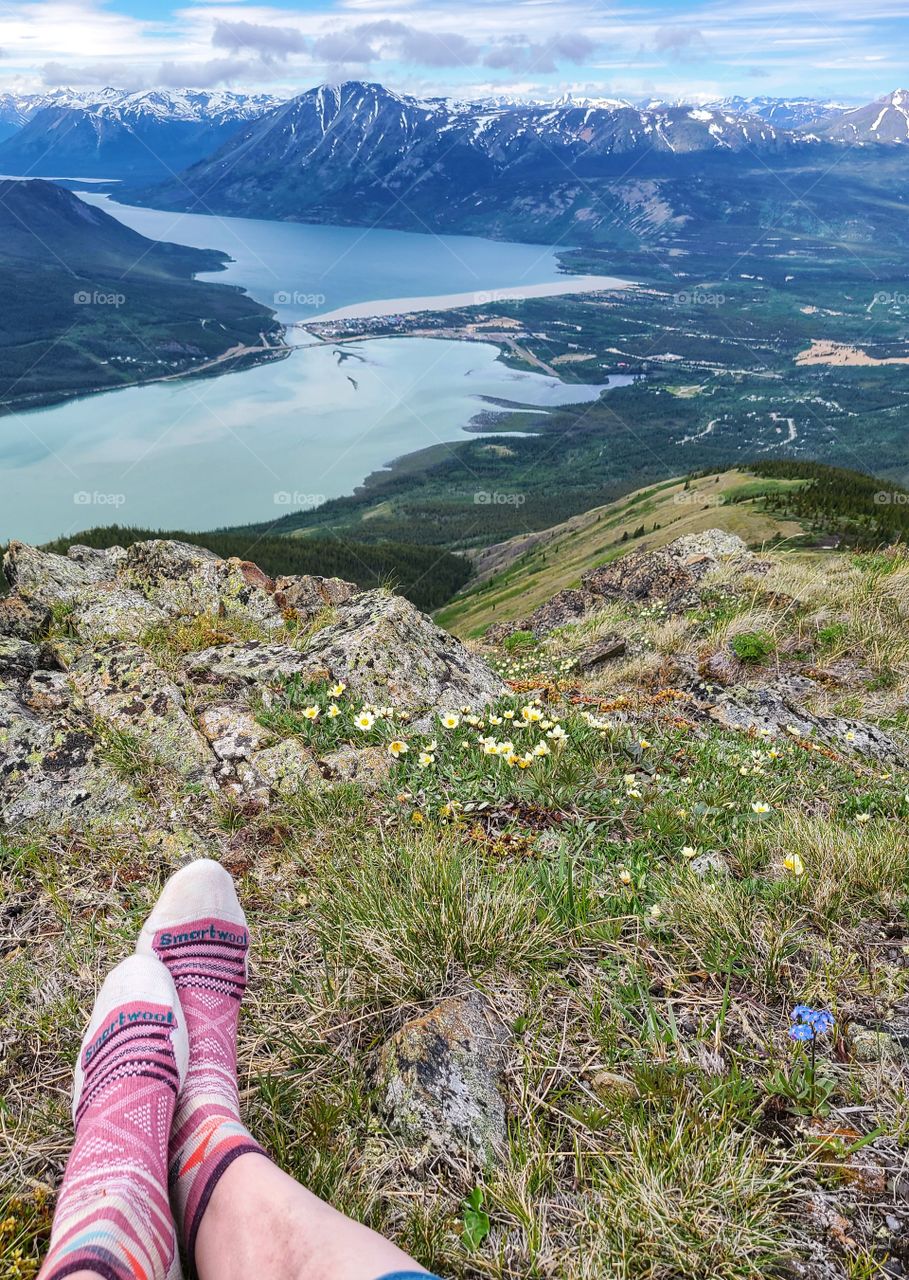 Cooling my toes on a long hike up a mountainside in the summer sunshine