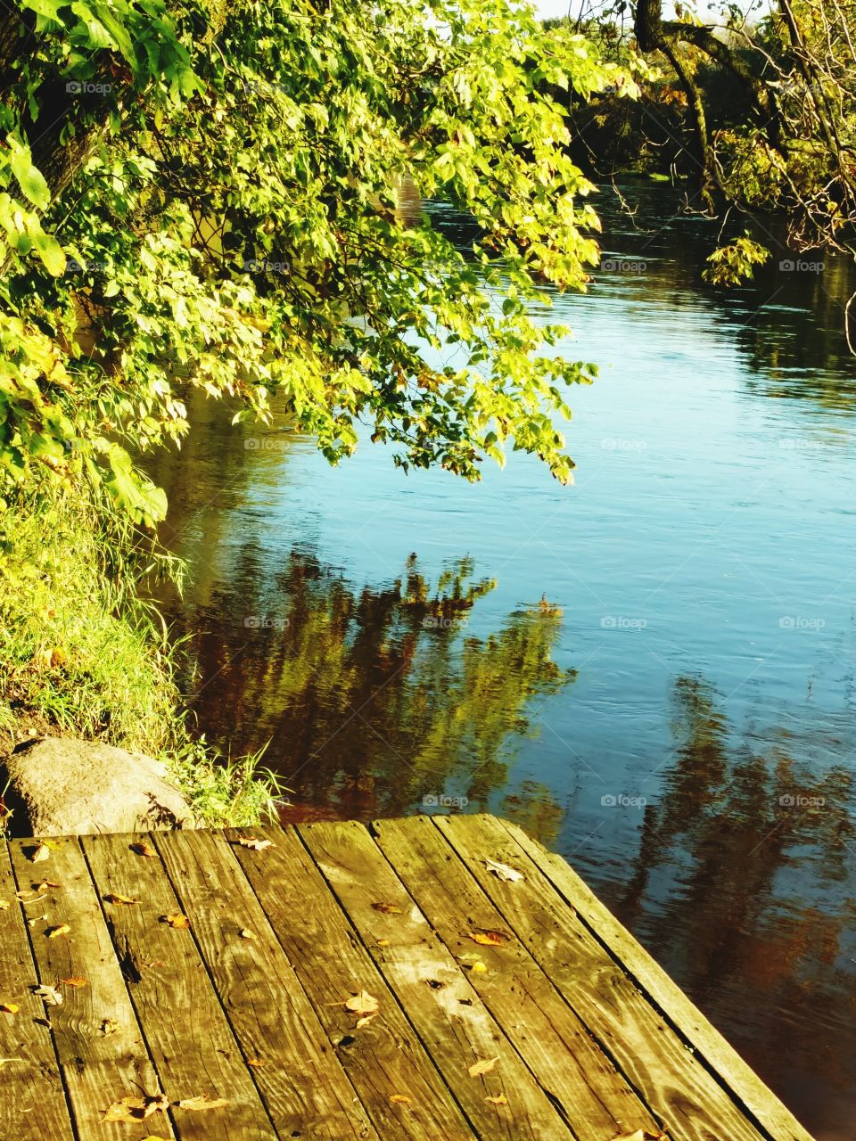 Wood, Water, Nature, No Person, Outdoors