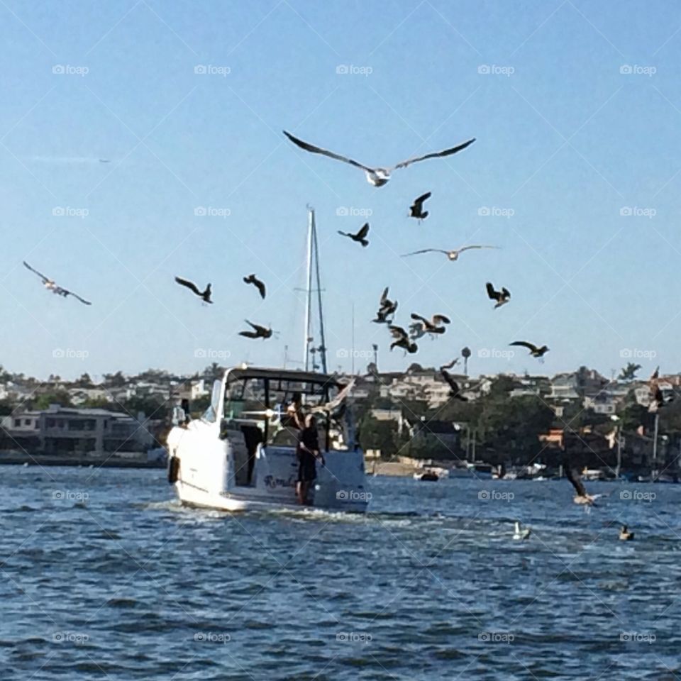 Feed the scraps to the birds. 