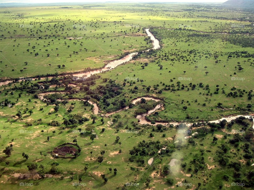 Masai mara river Africa