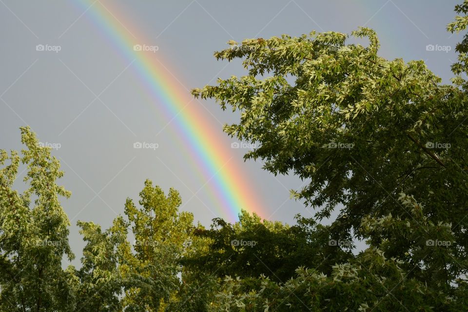 Rainbow, No Person, Nature, Landscape, Summer