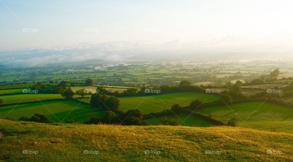 Scenic view of green fields in Glastonbury
