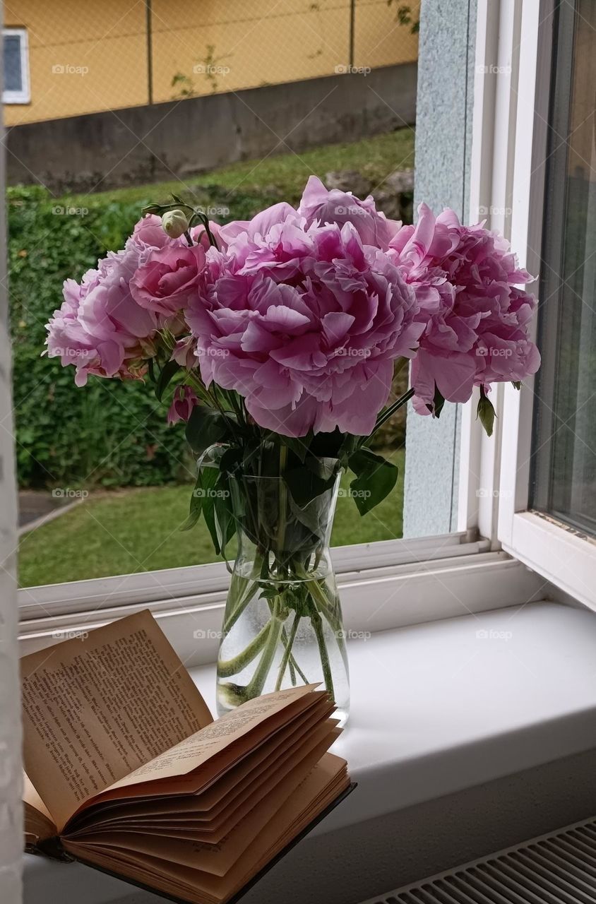 Pink peonies in a vase on the window