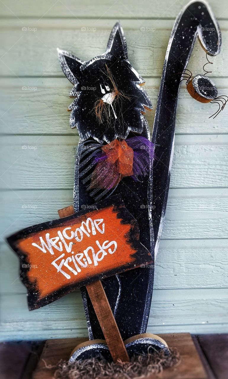 Welcome Friends wooden decor Black Cat & Spider home porch funny Halloween