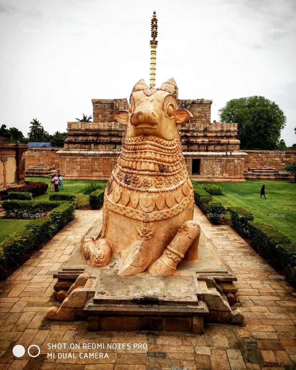 Nandi