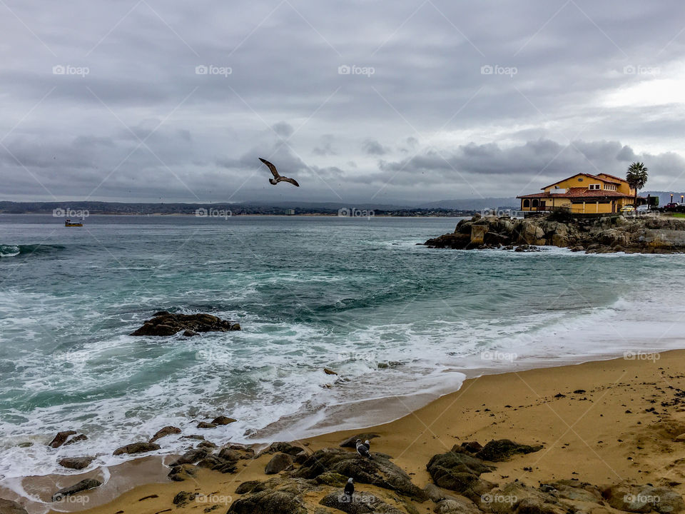 Monterey Bay 