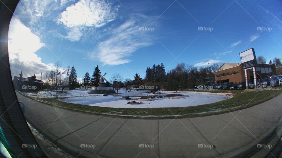 Tree, No Person, Water, Snow, Landscape