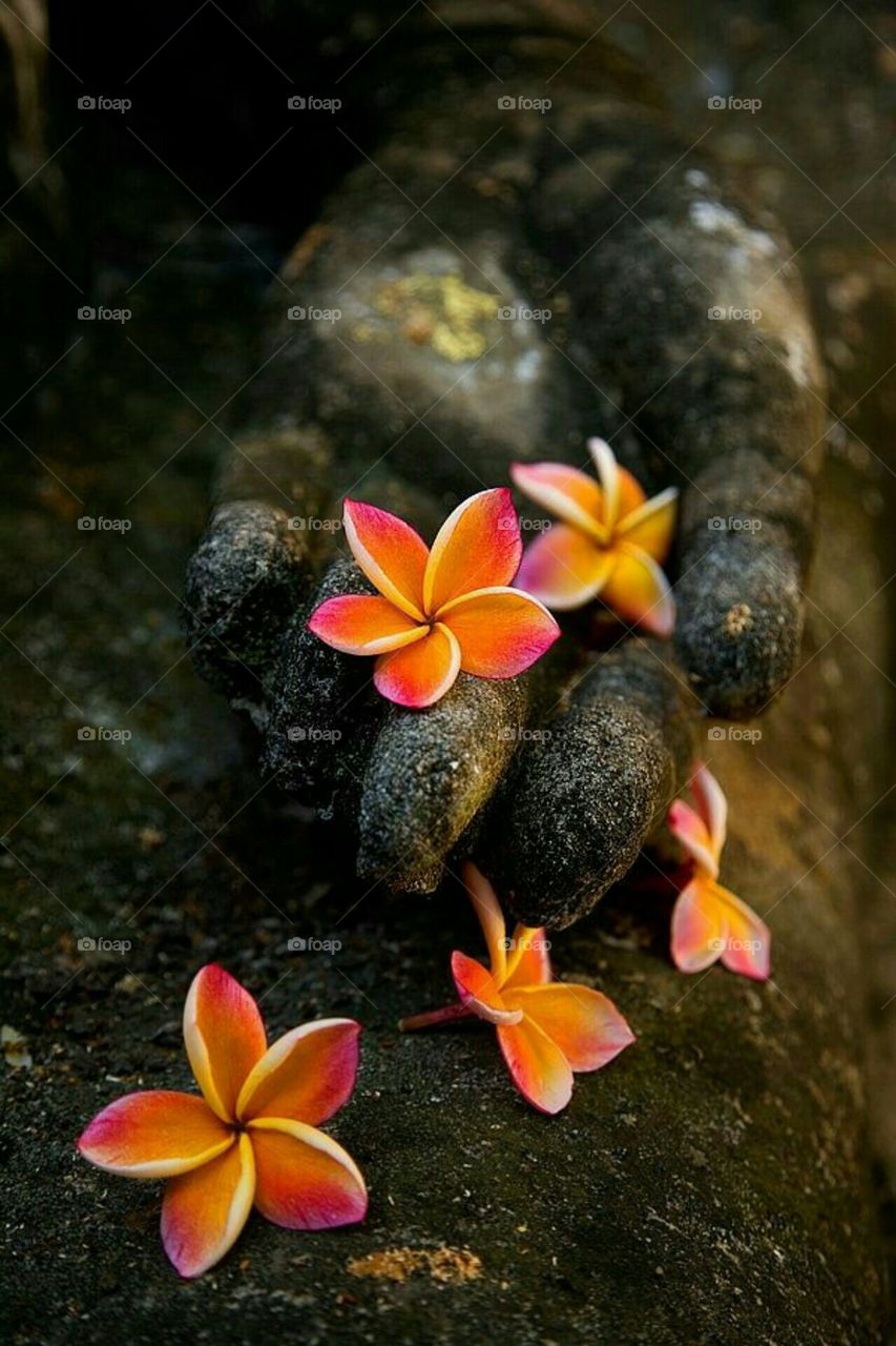 flower click by with stones