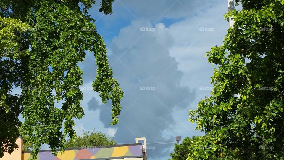 sky, cloudy, strange, formation, formidable,trees