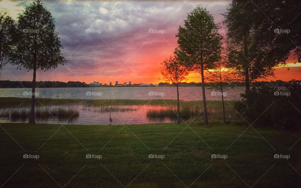 Sunset off a lake with the city in the far distance and a bird relaxing by the water. 