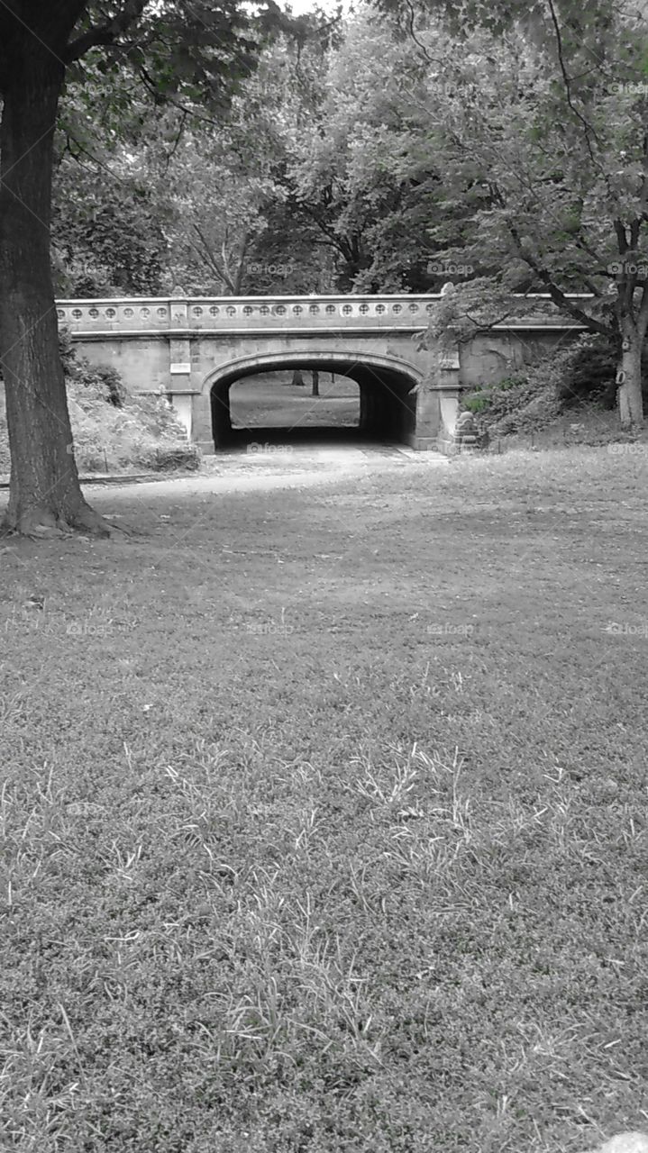 N YC central park looking at a old bridge