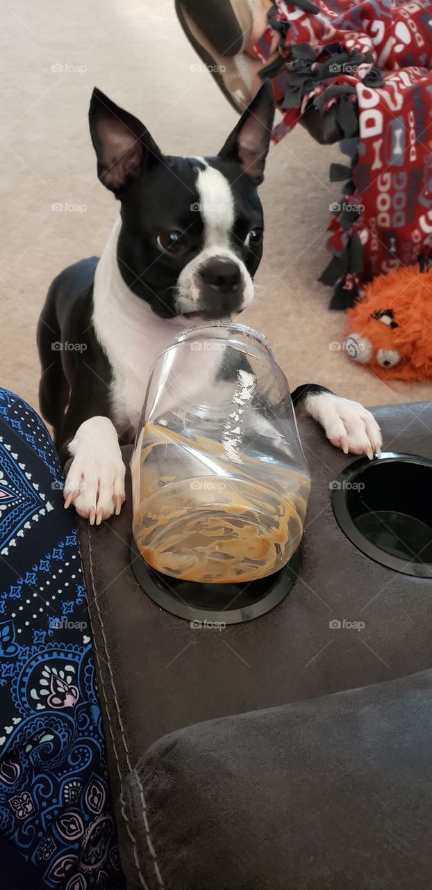 this is my jar of peanut butter