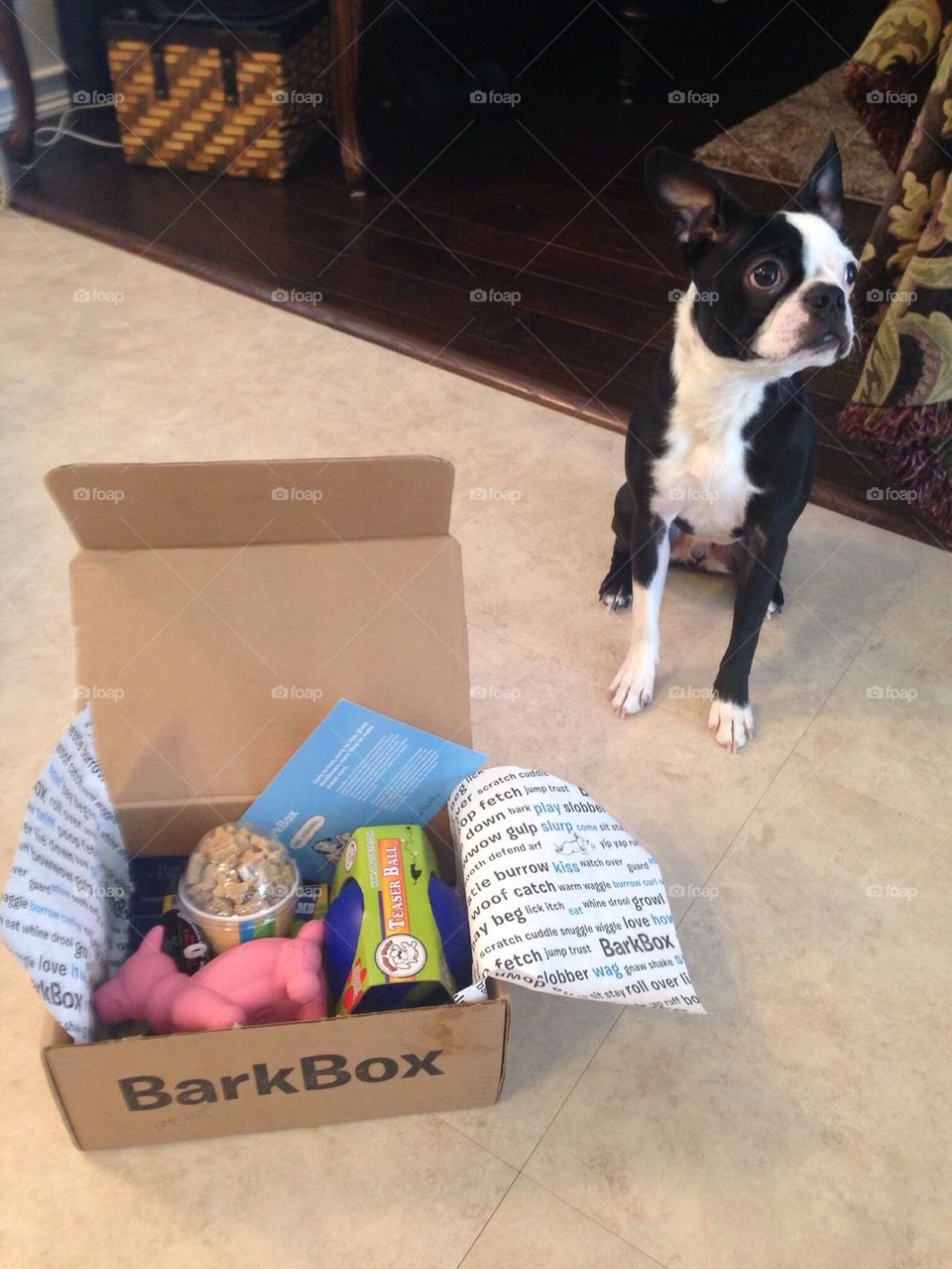 Tux's Bark Box