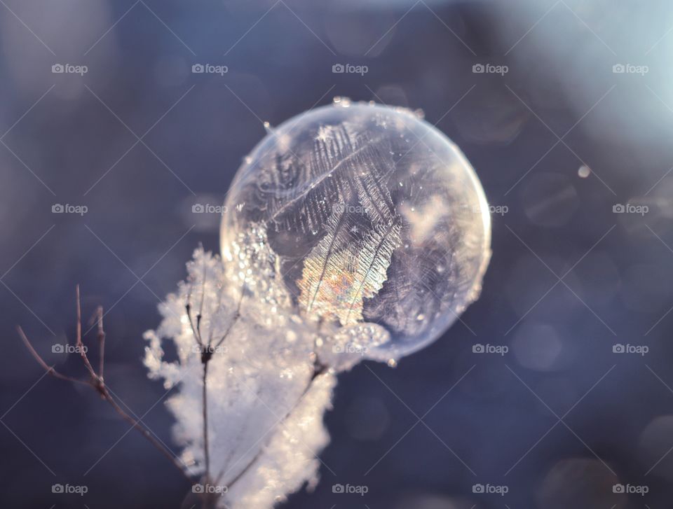 frozen soap bubbles