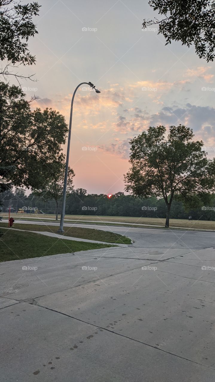 Watching the sunset over the trees